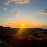 Belvedere 布多尼
